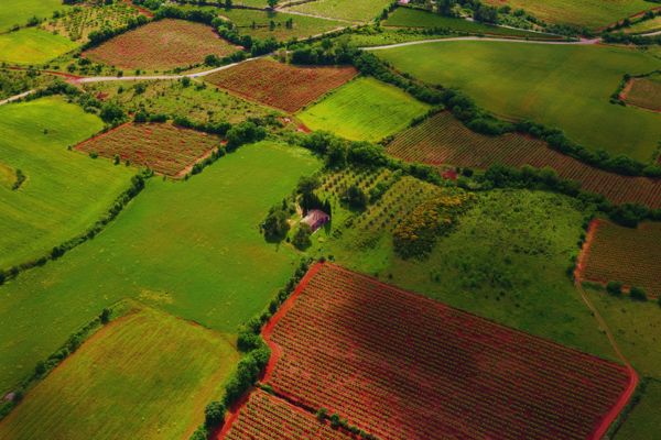 Trường hợp không đồng ý với chính sách tái định cư. Trường hợp này xác định đối tượng khởi kiện như thế nào?